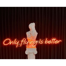 Only Flying Neon LED