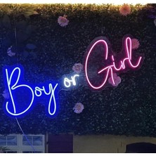 Boy Or Girl Neon LED