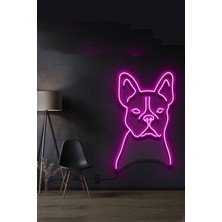 Bulldog Neon LED