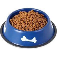 Ett Renkli Kemik Desenli Metal Mama Kabı Dinç Store - 004982