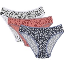 Moda Çizgi Kadın 3'lü Külot 40249