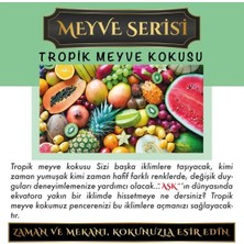 Aşk-ı Sermest Toptan Meczub Meyve Serisi Tropik Meyve Kokulu 10 x 12 ml Elma Şişe Oto Kokusu