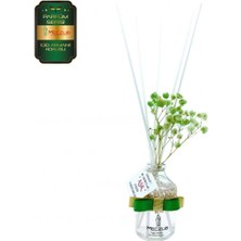 Aşk-ı Sermest Toptan Meczub Parfüm Serisi Gioo Armanii Kokulu 5 x 50 ml Oval Şişe Bambu Çubuklu Ortam Kokusu Reed Diffuser Oda Kokusu