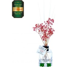 Aşk-ı Sermest Meczub Parfüm Serisi Gioo Armanii Kokulu 3 x 60 ml küp Şişe Bambu Çubuklu Ortam Kokusu