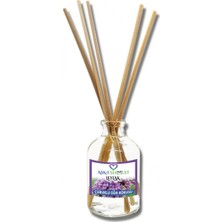 Aşk-ı Sermest Toptan Leylak Aromalı Bambu Çubuklu Oda Kokusu Reed Diffuser Ortam Kokusu Parfüm, Oval Şişe, 100 mL, 5 Adet