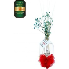 Aşk-ı Sermest Meczub Parfüm Serisi Gioo Armanii Kokulu 5 x 100 ml Oval Şişe Bambu Çubuklu Ortam Kokusu