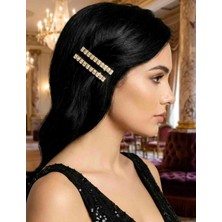 Endiell Zirkon Taşlı Pens Toka 2'li