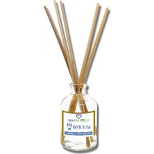 Aşk-ı Sermest Toptan Invicctuss Çiçek Aromalı Bambu Çubuklu Oda Kokusu Reed Diffuser Ortam Kokusu Parfüm, Oval Şişe, 50 mL , 5 Adet