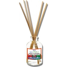 Aşk-ı Sermest Toptan Misk-i Osmanlı Çiçek Aromalı Bambu Çubuklu Oda Kokusu Reed Diffuser Ortam Kokusu Parfüm, Oval Şişe, 50 mL , 5 Ad