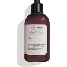 L'Occitane Cleansing And Refreshing Conditioner For Oily Hair 250 ml