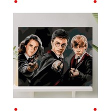 MarkEntegra Sayılarla Boyama Tuval Seti - Harry Potter Temalı, 40X50CM