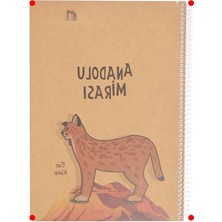 MarkEntegra A4 Spiralli Defter - 100 Yaprak, Çizgili, Dayanıklı Kapak