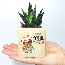 E-Hediyeci Ahşap Küp Saksıda Romantik Tasarım Hediye Sukulent, Sevgiliye Hediye, Sevgililer Günü Hediyesi, Yılbaşı Hediyesi Ahşap Küp Saksıda Sukulent, Doğum Günü Hediyesi Canlı Haworthia Sukulent