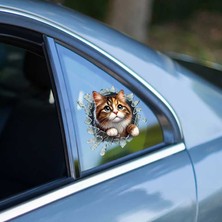 Hediye Bahçesi Fulcar Stray Araç Stickerı