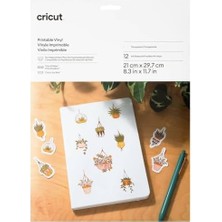 CINARSTORE 2010363 Yazdırılabilir (Prıntable) Vinil 21.5X28CM 12Lİ Paket Transparan