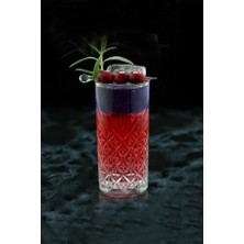 52820  6'lı Meşrubat & Kokteyl Bardağı 295 cc