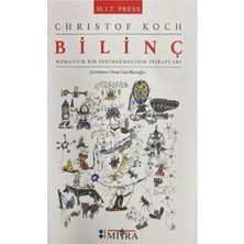 Bilinç - Romantik Bir Indirgemecinin Itirafları