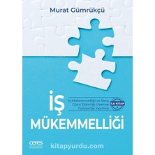 Iş Mükemmelliği: Iş Mükemmelliği ve Satış Gücü Etkinliği Üzerine Türkiye’de Yazılmış Ilk Kitap
