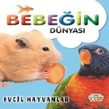 Bigelal Bebeğin Dünyası Evcil Hayvanlar