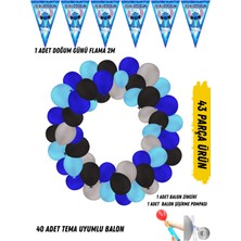 40 Adet Tema Uyumlu Renkli Balon Seti Stitch Stiç