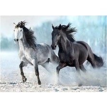 CINARSTORE Blue Focus 1000 Parça Puzzle - Horses (Atlar)