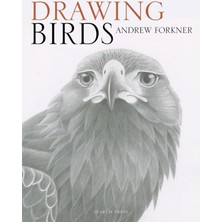 CINARSTORE Drawing Birds