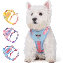 Duomm Köpek Tasması ve Gezdirme Halatı Gögüs ve Sırt Setli (Reflektörlü)