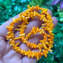 Diş Mercan Taşı Turuncu