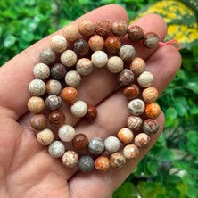 Fasetli Küre Fosil Mercan Taşı 8 mm