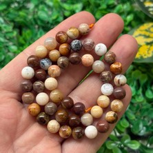 Küre Fosil Mercan Taşı 8 mm