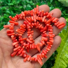 Açık Kırmızı Diş Mercan Taşı