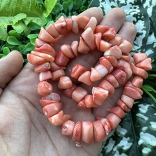 Büyük Şekilsiz Mercan Taşı