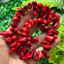 Kök Dal Mercan Taşı 1-3 cm