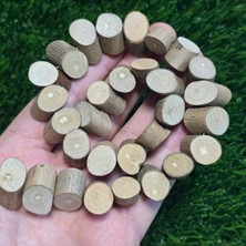 Kütük Şekilli Sandal Ağacı