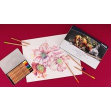 Lyra Rembrandt Polycolor Kuruboya, 12'li Metal Kutu