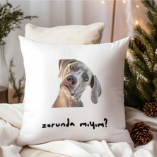 Qoeuyl Boutique Zorunda Mıyım? Baskılı Komik Eğlenceli Hediyelik Elyaf Dolgulu Saten Dekoratif Yastık
