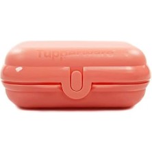 To Go Somon Beslenme Kutusu, Yemek Kutusu, Ikiz Küçük, Boyut 2