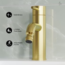 Well Made Forever SM-DF81BG Fırçalanmış Altın Sarmaşık Taharet Musluğu