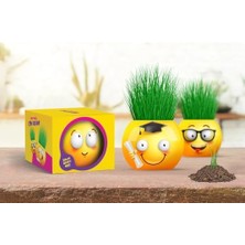 Emoji Temalı Xl Çim Adam 6'lı Set – Çocuklar Için Eğitici ve Eğlenceli Bitki Yetiştirme Kiti