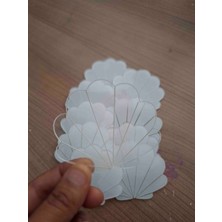 30 Lu 7 cm Istiridye Model Pleksi Taban