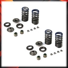 Moto Express Bajaj Discover 125ST 150F-S 2013-2016 Subap Yayı Tırnağı Keçesi Kepi Takımı A