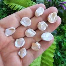 Yaprak Doğal Inci 14 mm