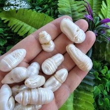 Yumurta Doğal Inci 14X30 mm