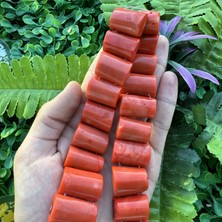 Yarım Silindir Mercan Taşı 3 cm