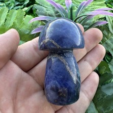 Büyük Yer Mantarı Lapis Taşı 6cm