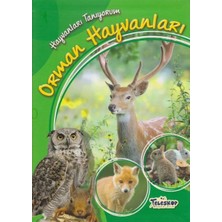 AriaTech Hayvanları Tanıyorum Orman Hayvanları