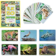 1352FLASHCARDSİLK50HAYVAN-DIYTOY