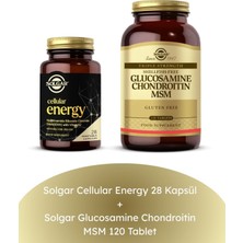 Solgar Cellular Energy 28 Kapsül + Glucosamine Chondroitin Msm 120 Tablet