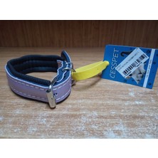 Köpek Boyun Tasma No:2 Mavi