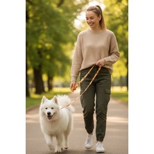 Zendog Zen Dog Ayıcıklı Desenli Köpek Gezdirme Kayışı – Dayanıklı, Hafif ve Şık Köpek Kayışı